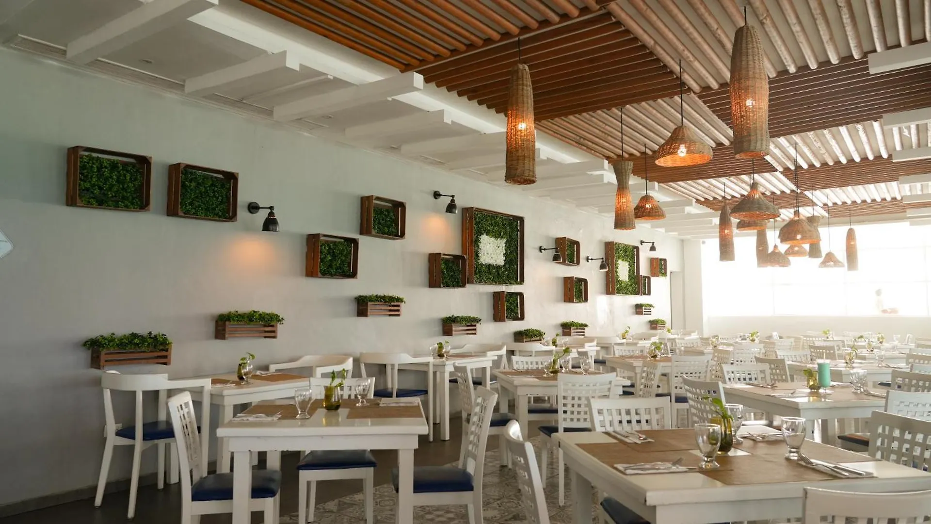 Oleo Cancun Playa All Inclusive Resort